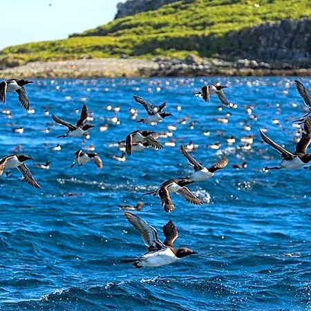 By Destination 4* Vardo